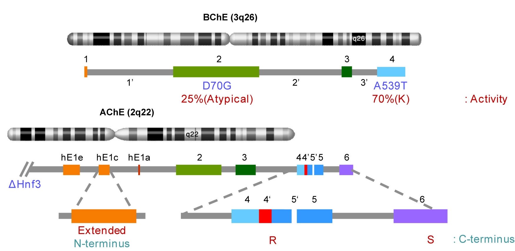 An external file that holds a picture, illustration, etc., usually as some form of binary object. The name of referred object is rmmj-1-2_e0014_Figure01.jpg